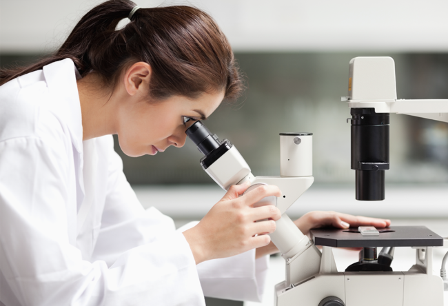 mohs surgery mohs surgery